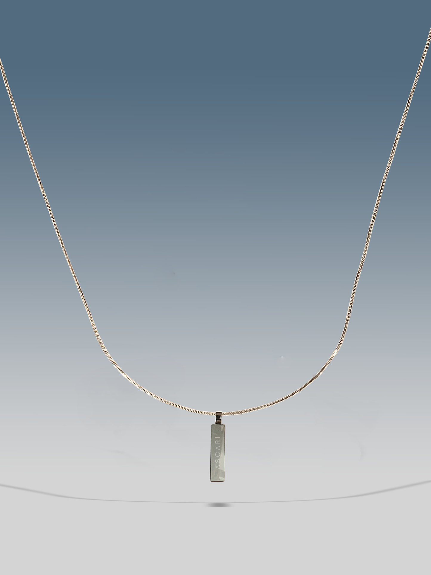 Halskette mit Snike-Anhänger, Silber